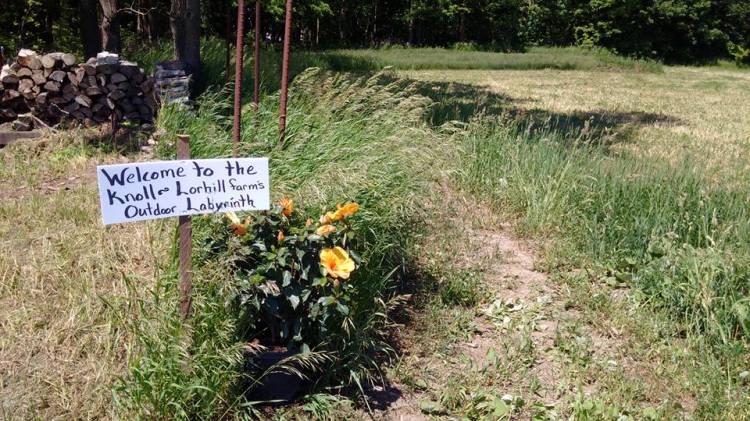 13413155_1704773413108591_3629744264196414026_n