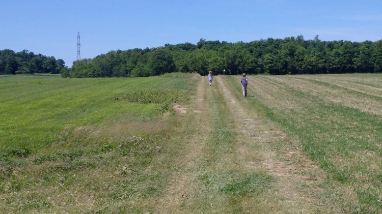 13434881_1704773393108593_8130208895263012300_n