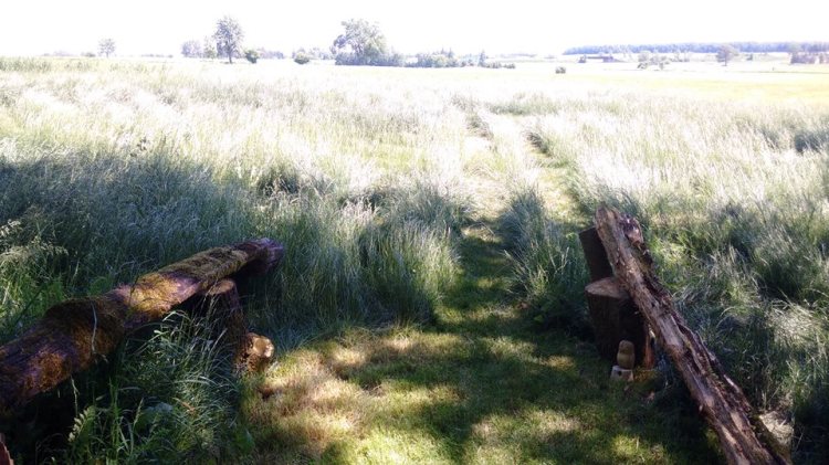 13434922_1704773396441926_669244945822058734_n