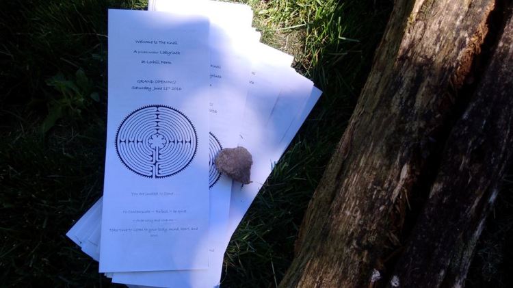 13450971_1704773346441931_1503029517101716175_n